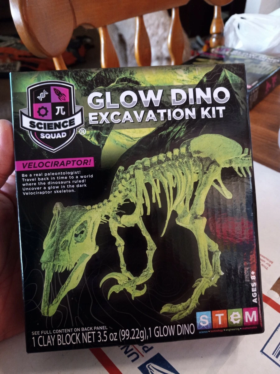 VELOCIRAPTOR Fossil Dig Glow Dino Excavation Kit Dinosaur Model