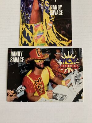 1995 Cardz WCW Tribute: Randy 