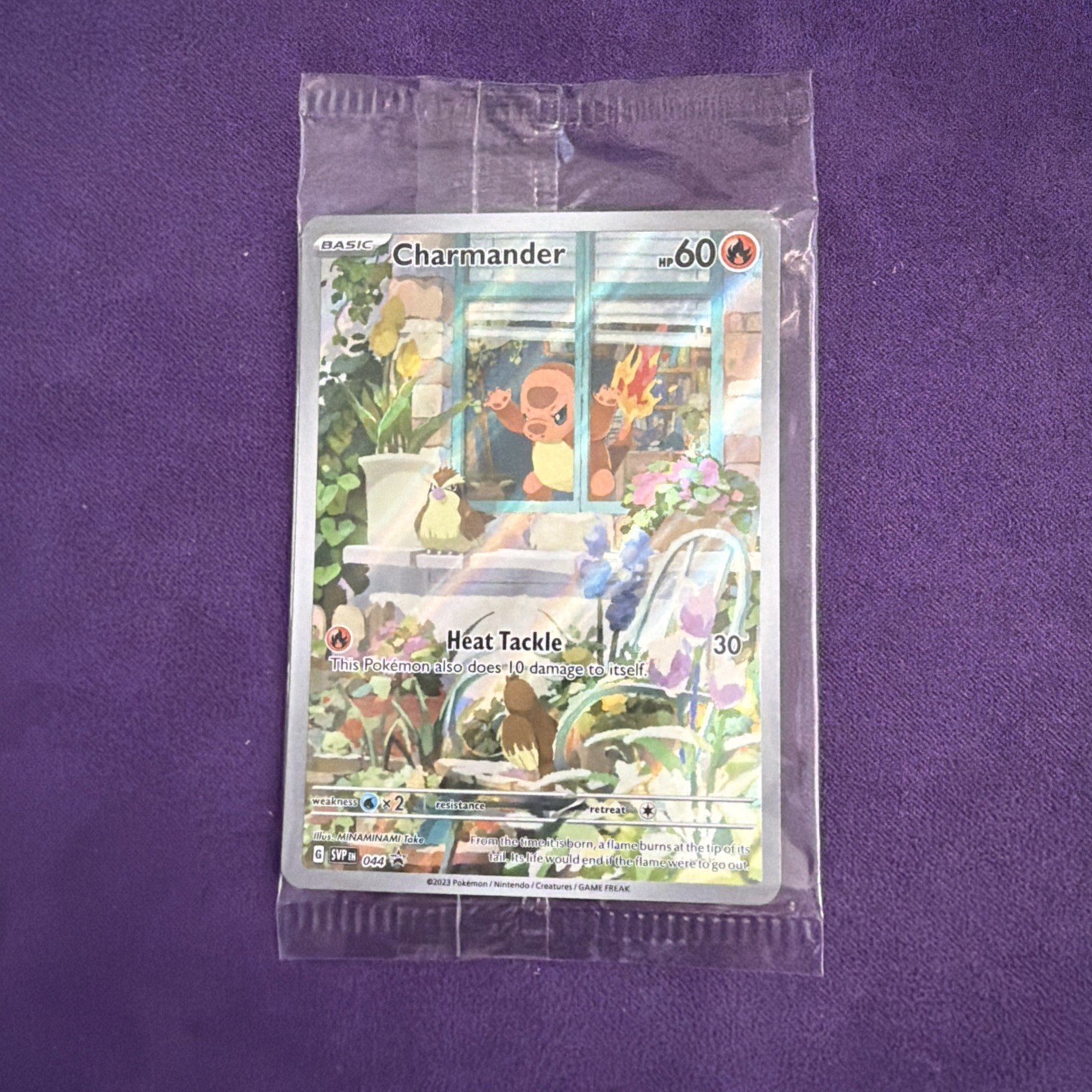 Pokémon Charmander TCG 44 Black Star Promos SVP044 Holo Card Sealed