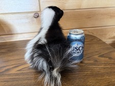 Baby Skunk Taxidermy Cute Cabin Decor Man Cave New Beautiful!!!!!