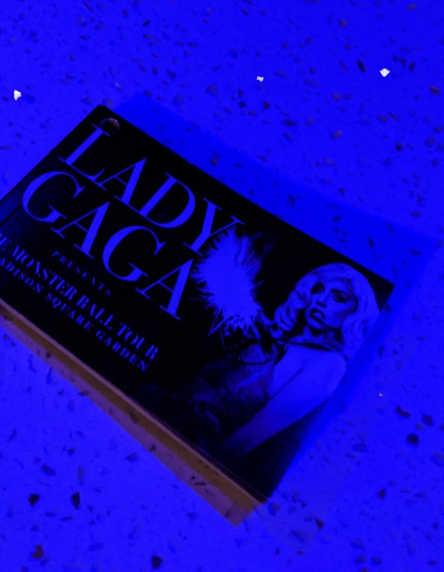 Lady Gaga Moving Picture Flip Book Unique, Rare, One of a kind