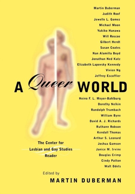 Queer Representations by Martin Duberman PAPERBACK 9780814718834