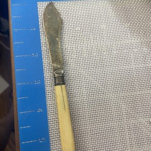 Antique Victorian Butter Knife French Ivory Celluloid Handle Engraved Spreader