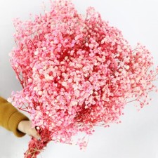Dried-Babys-Breath-Flowers-Bouquet 17.2In 2500 Pink Flower Natural Gypsophil...