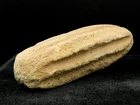 POLI16 ANCIENT Stone Bead Polisher - Neolithic - 17 cm LONG - Sahara