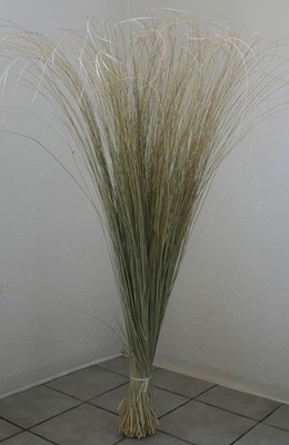 pflanztopf cannabis Roothus Anti-Spiral Pflanztopf fr Cannabis