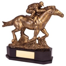 Personalised Aintree Equestrian Racing Horse Award Trophy Any Text Engraved