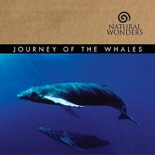 Journey Of The Whales - David Arkenstone - CD