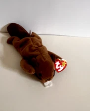 Bucky Ty Beanie Baby ~ 1995 ~ Retired ~ Near Mint Condition ~ PVC Pellets
