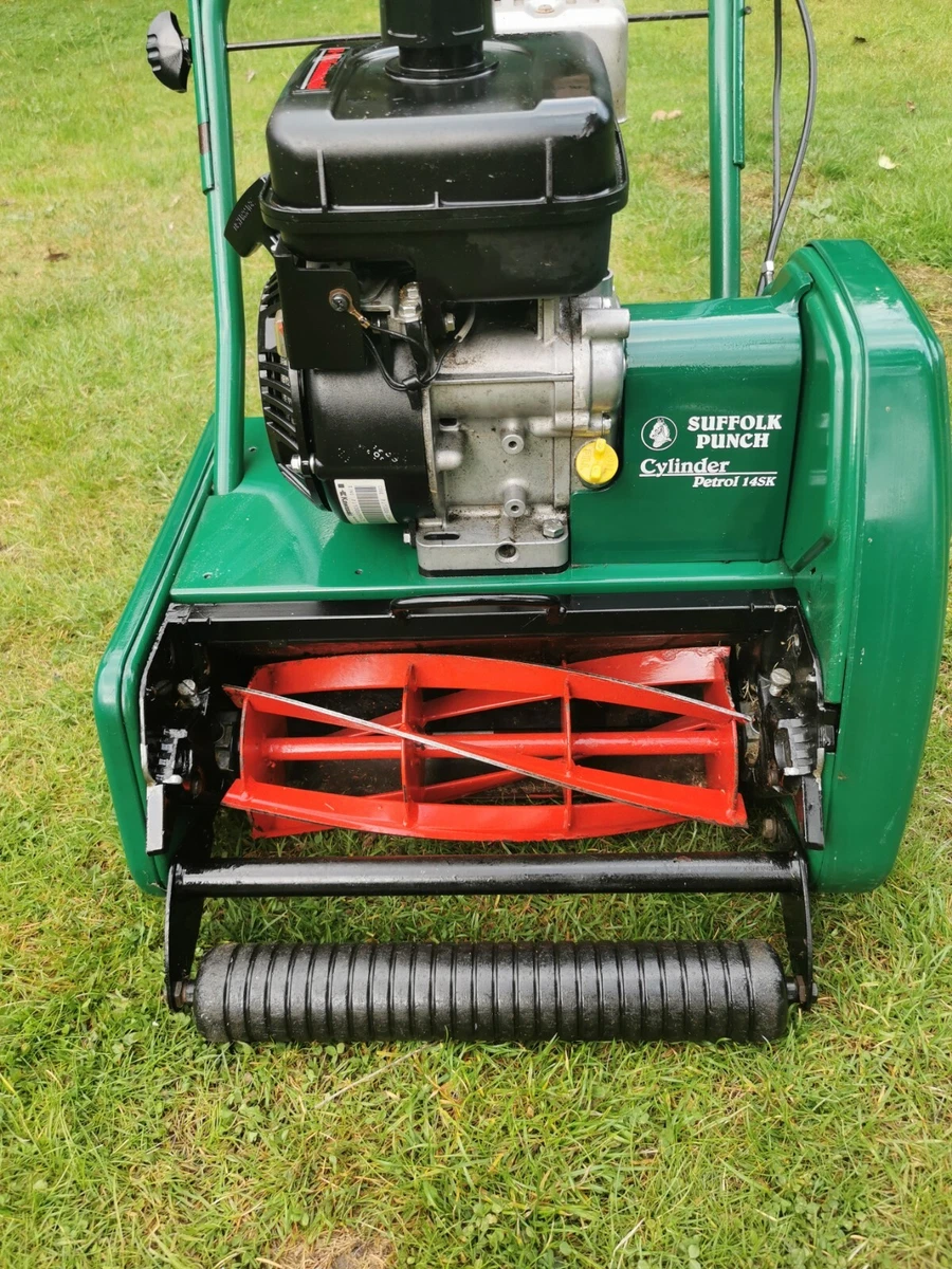 Suffolk punch online 14sk kawasaki