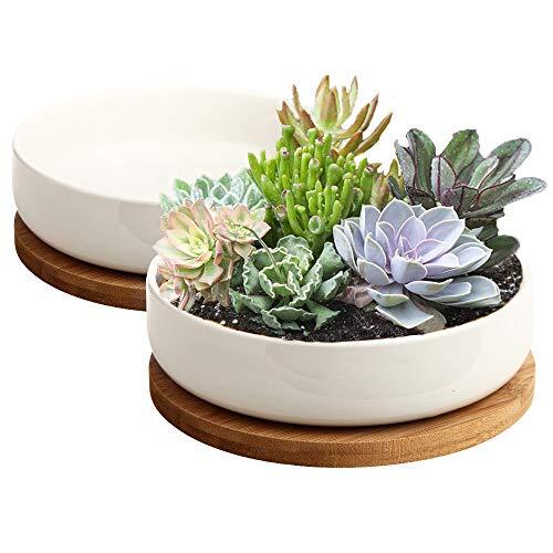 Succulent Pots, 6 inch White Ceramic Flower Planter Pot Bamboo Tray, Pack of 2 - Picture 1 of 12