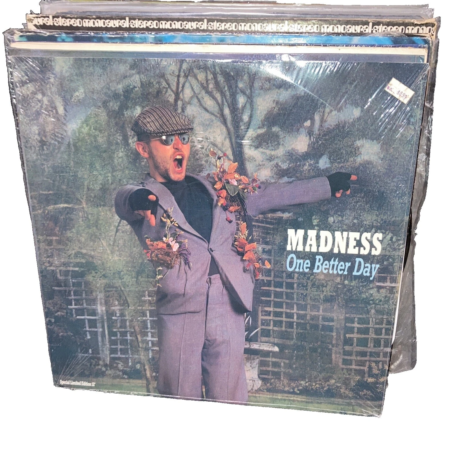 Madness Rock Single Vinyl Records