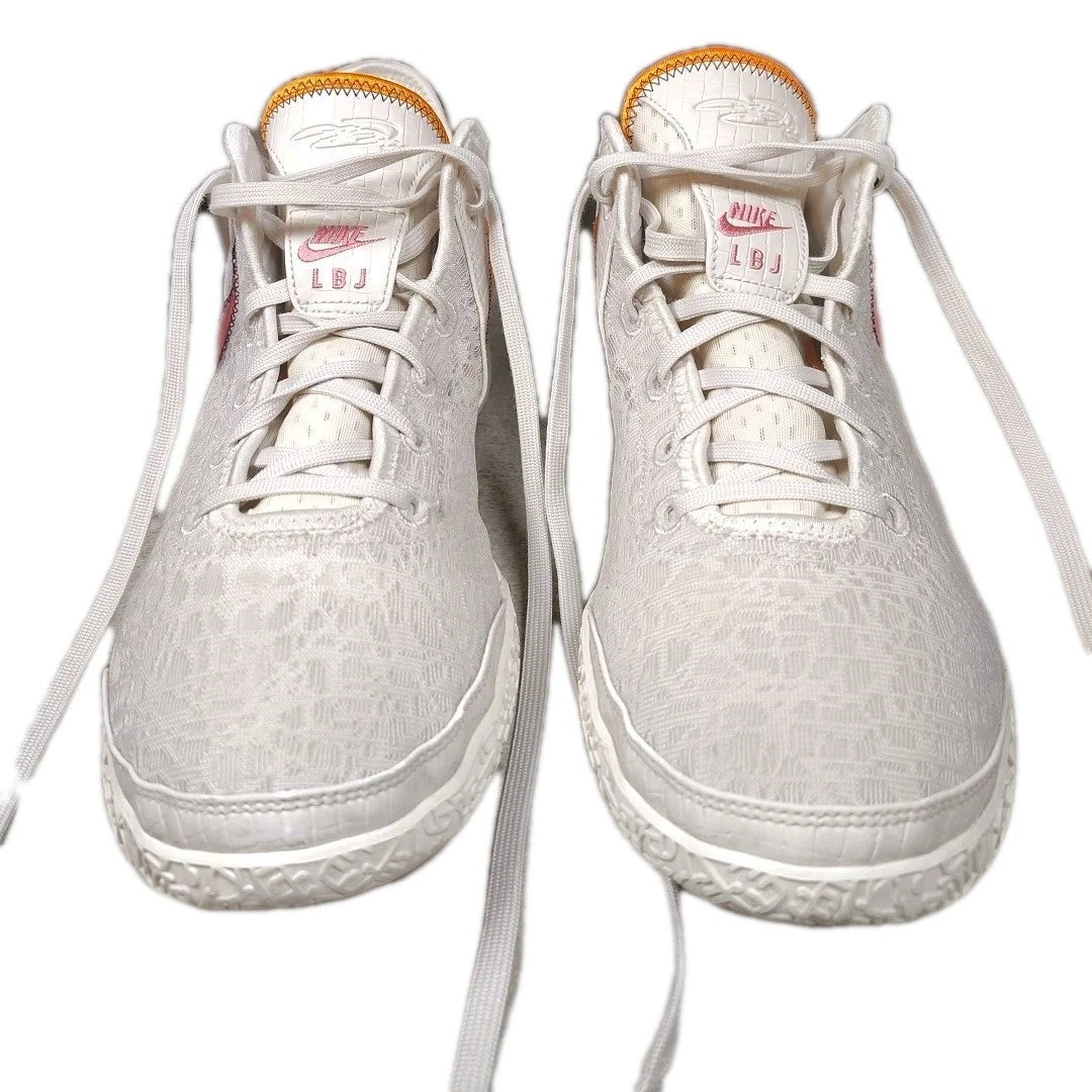 Nike Zoom LeBron NXXT Gen EP Da Vinci for Sale | Authenticity