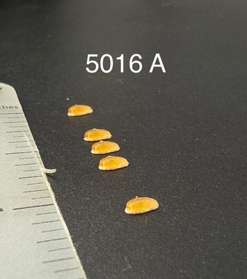 5 Pack 1/50 Scale Amber Roof Clearance Light Cab Marker DCP Truck Big Rig 5016A
