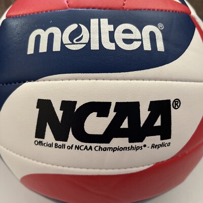 FOX・molten バレーボール  Satuu FOX・molten バレーボール Satuu FOX・molten バレーボール