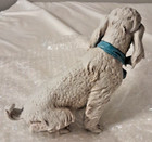 Antique Porcelain Dog, Antique Italian Figurine, Tiche Company, — photo 5