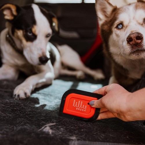 Mini Pet Hair Detailer | Reusable Fur Remover for Car Interior, Carpet, Couch & - Picture 4 of 9