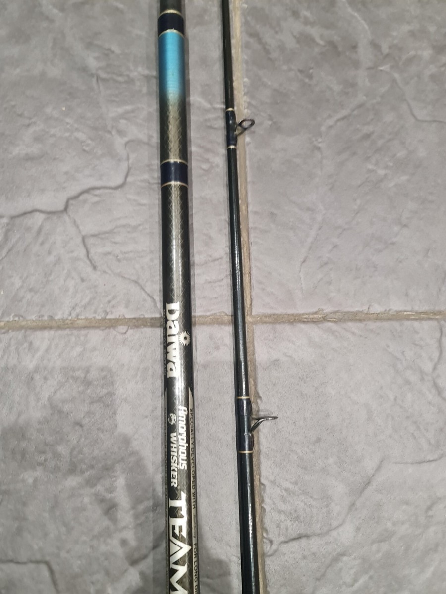 ☆DAIWA ダイワ Amorphous Whisker アモルファス ウィスカー THEヘラ