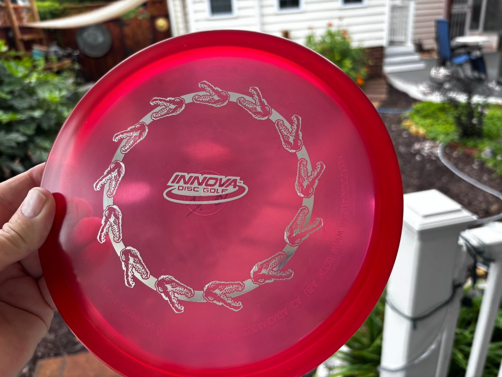 Disc Golf Innova Champion Gator (Ring of Gators) Penned PFN (Free Returns) #3968 - Thumbnail 10