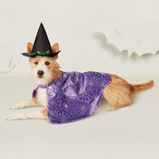 ¡Nuevo! Disfraz de perro bruja perro disfraz para ropa de perro XS S M L XL