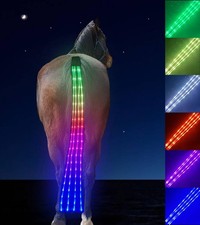 7 Color LED Tail Light for Horse Tack, USB Rechargeable, Enhanced Night Safety