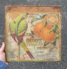 RARE Antique Sunkist Parrot Brand Fruit Crate Orange Citrus Label Original Art