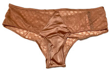large - NWT Victoria's Secret mesh cheeky panty d173