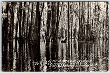 Cypress Gardens Charleston South Carolina Vintage Real Photo Postcard AF390