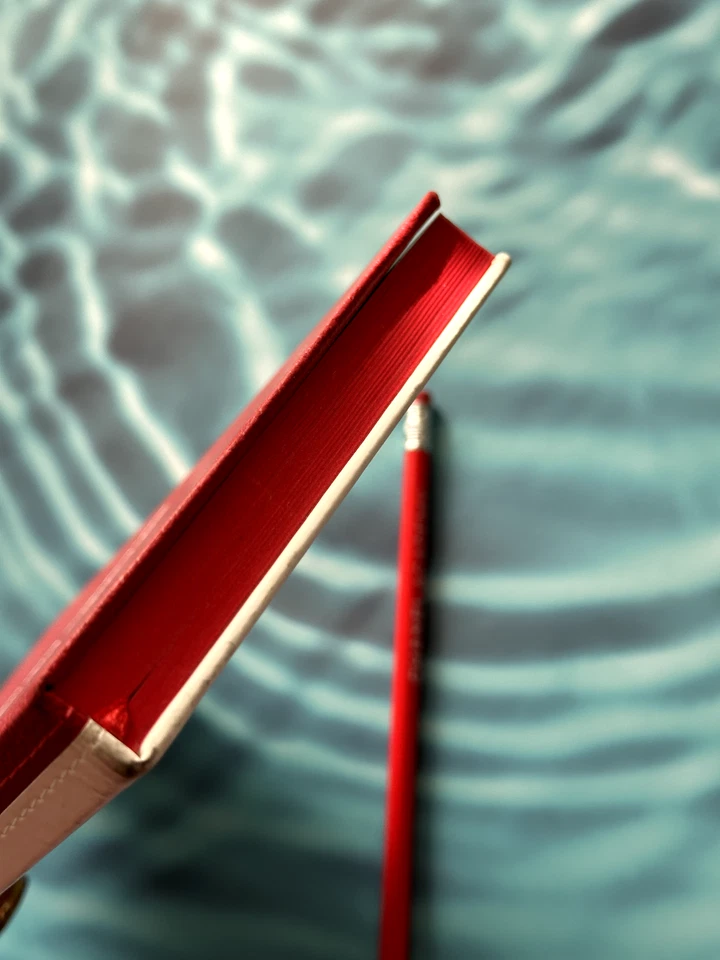 Chanel Notebook Chanel Diary Limited Red Camellia Set of 2 Diary&Pencil - Image 3 of 4