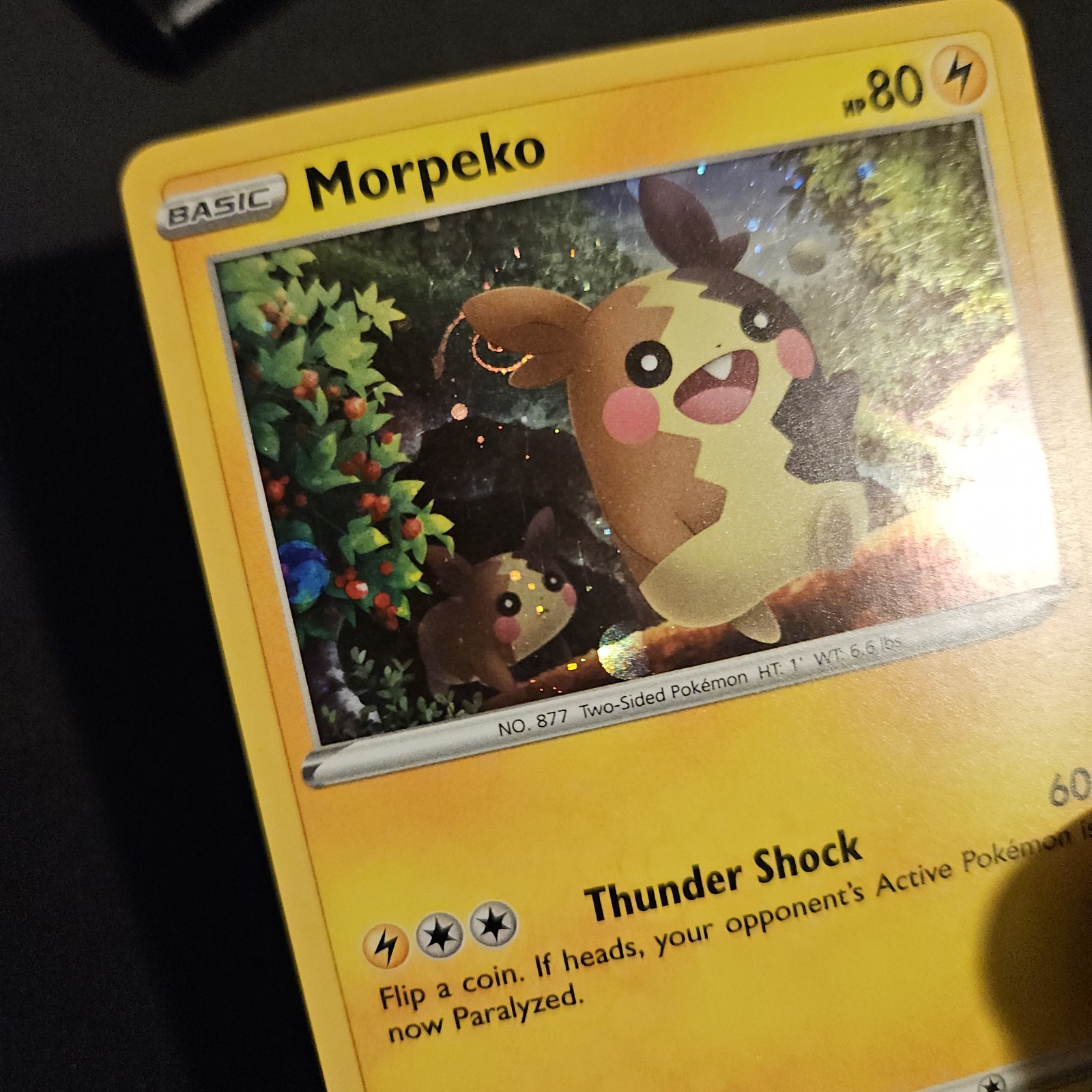 Morpeko SWSH012 Holo Black Star Promo Pokemon Card Holo Rare TCG NM SWIRL 🌀