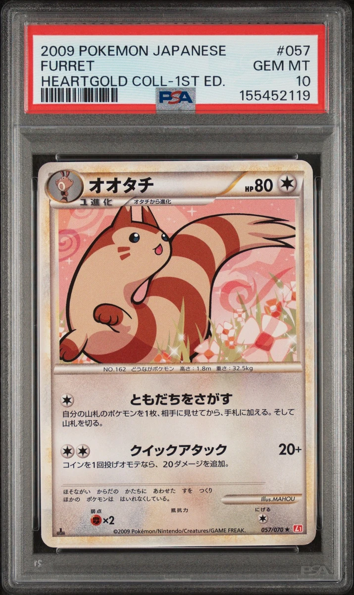 Furret