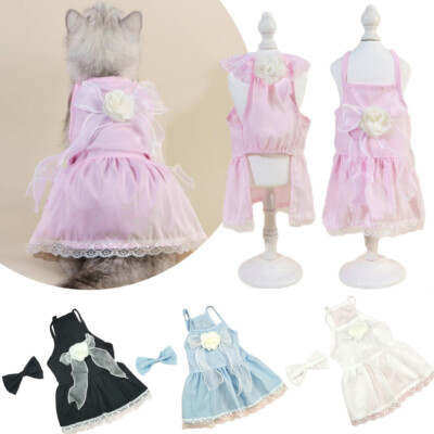 Haustier Jirt Hunde Robe's Mariet Support Sucles The Swess Swe Swe Swe /