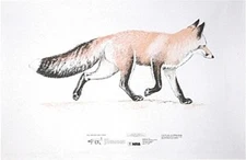 NRA Red Fox Life-Size Game Targets (HF 07930), 35" x 22-1/2" (7 folded)