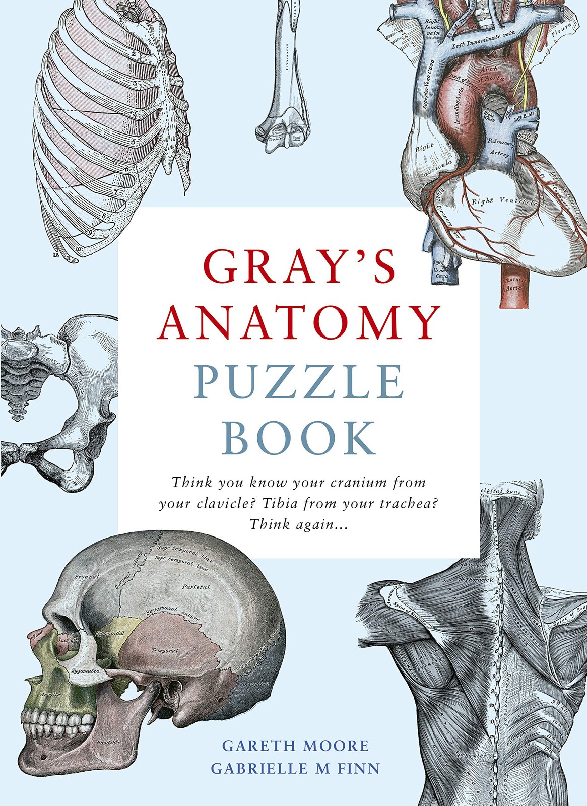 Gray's Anatomy Puzzle Book: Think You Know Your Cranium from You - Image 6