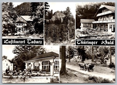 Luftkurort Tabarz RPPC Thüringer Wald Forest Aschenberg DDR c.1976 Real Photo