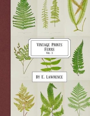 Vintage Prints: Ferns: Vol. 3 by E. Lawrence (English) Paperback Book