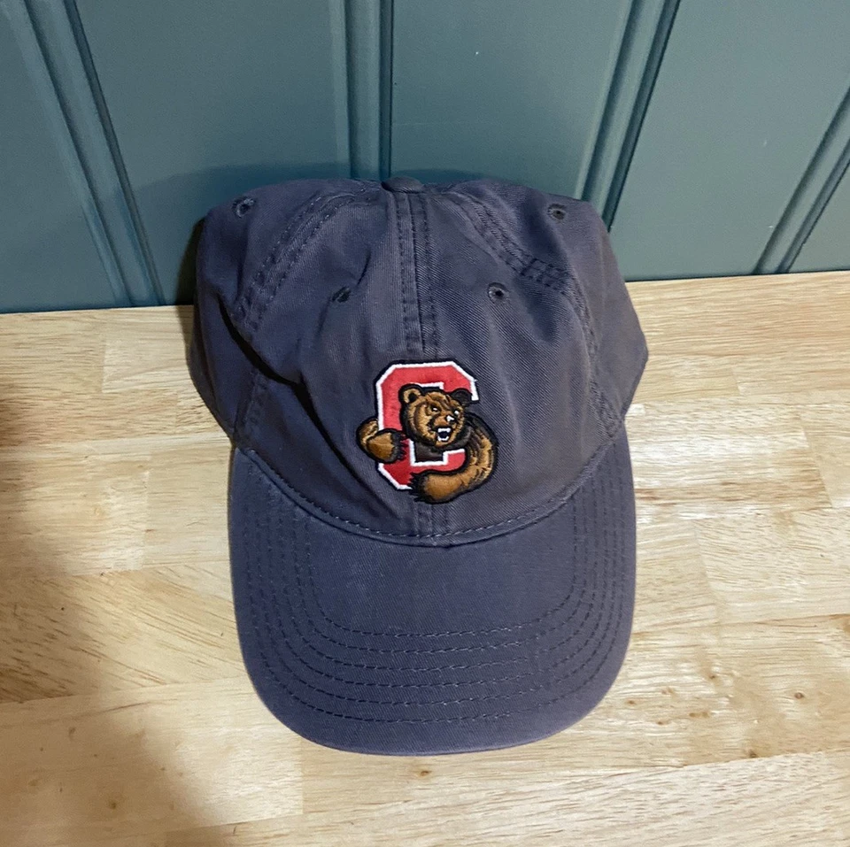 Cornell University Big Red Bear Hat Gray Adjustable  Dad Baseball Cap Ivy Strap - Image 3 of 4
