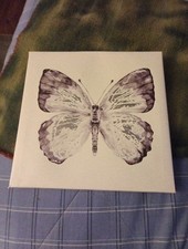 Butterfly Picture Canvas Wall Art for Home Decor