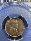 1931-D 1C LINCOLN WHEAT PCGS MS65 BROWN