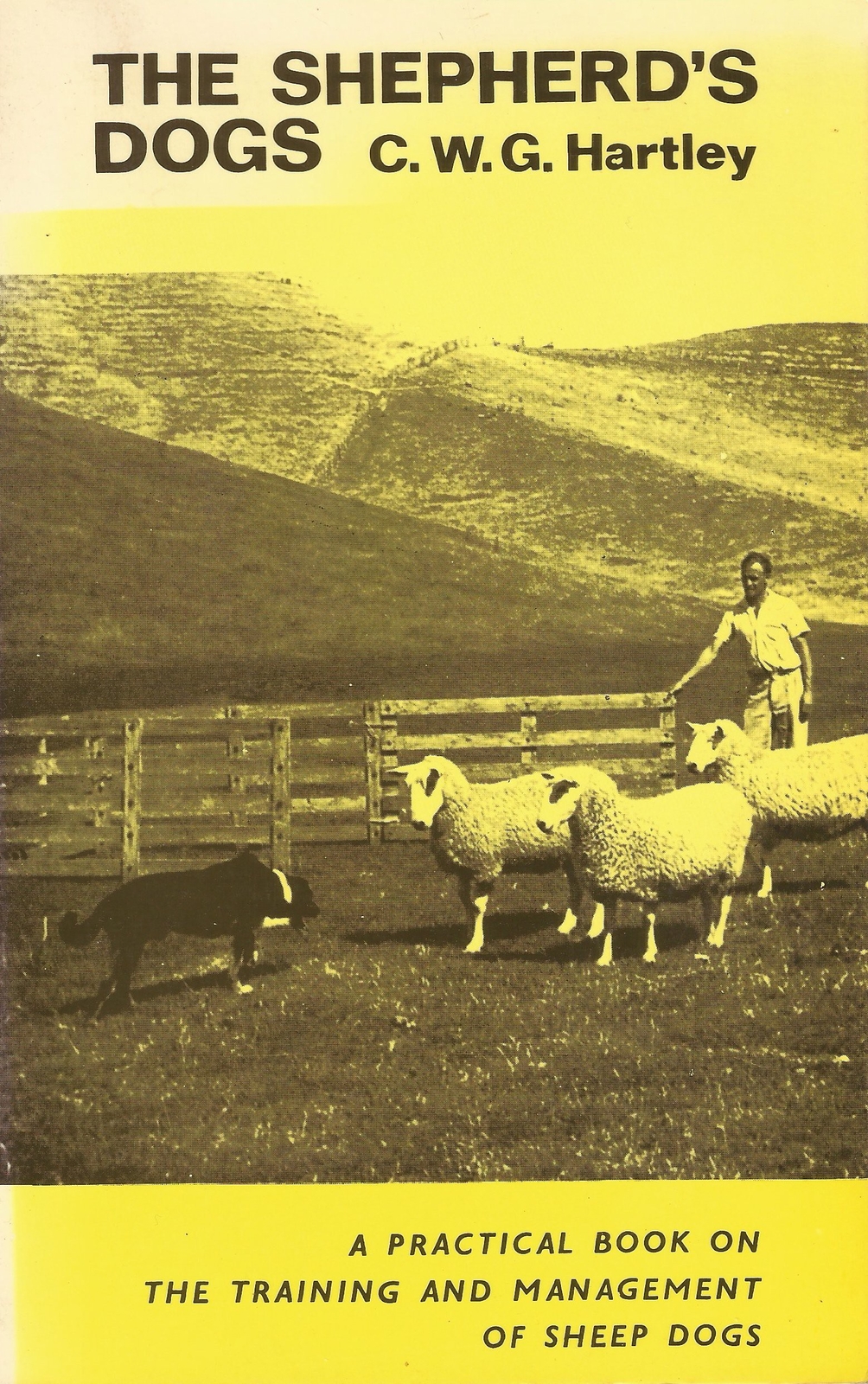 Shepherd's Dogs: Practical Book on the Training and Management of Sheep Dogs ...