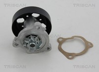 Triscan Wasserpumpe 8600 16076 FüR Ford Ford USA
