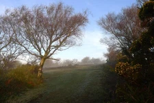 Photo A3 Early morning at Lambert's Castle Fishpond Bottom  c2017
