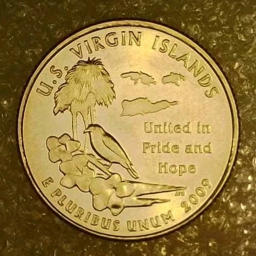 🔥 BU SATIN 2009-D VIRGIN ISLAND QUARTER DDO / DDR VARIETY - Image 2 of 4