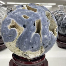 6.3LB 5.9" Natural Blue Coral Reef Cluster Sphere Marine Mineral Ball Decor