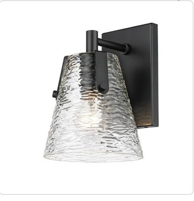 Z-Lite 1101-1S Analia 10'' Tall Wall Sconce - Black