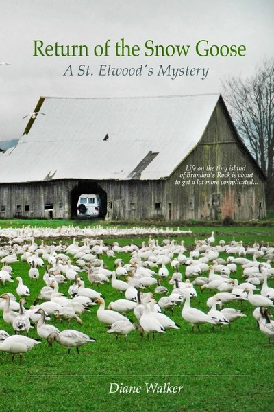 Return Of The Snow Goose Diane Walker Taschenbuch Kartoniert / Broschiert 2013-image