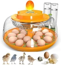 Incubators for Hatching Eggs,18 Egg Incubator with Automatic Egg Turning and ...