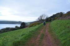 Photo 6x4 South West Coast Path near Hooe Lake Point Cawsand With Kingsan c2017