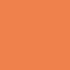 Savage Widetone Seamless Background Paper 24 Orange, 107" x 36'