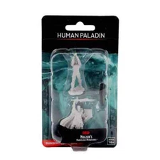 Male Human Paladin 2pk Nolzur's D&D miniature Dungeons & Dragons W12 fighter